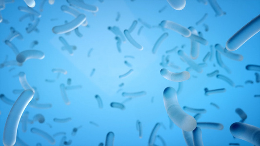 微观细胞病毒细菌三维动画循环视频