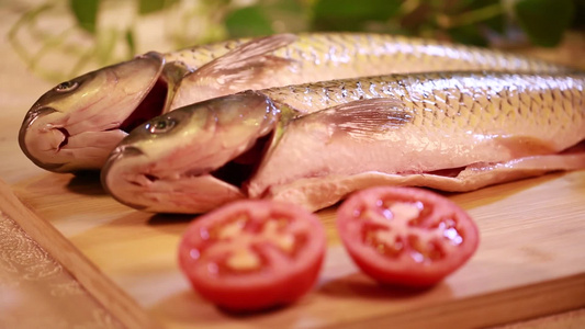 食材草鱼鱼肉视频