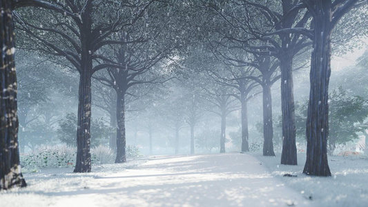 大雪森林视频