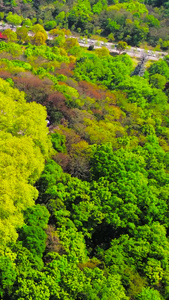 航拍南京中山陵景区美龄宫南京旅游视频