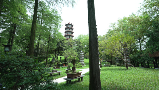 武汉汉口现代园林解放公园风景视频