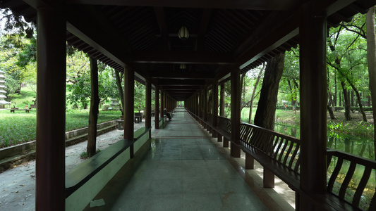 武汉汉口现代园林解放公园风景视频