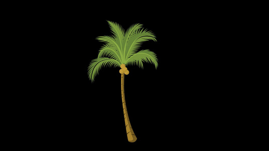 mg动态椰子树生长视频素材视频