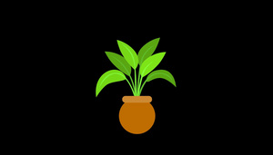mg动态圆底盆栽植物生长视频素材6秒视频