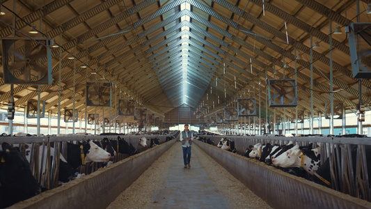 牲畜工人走在谷仓里拿着剪贴板视频