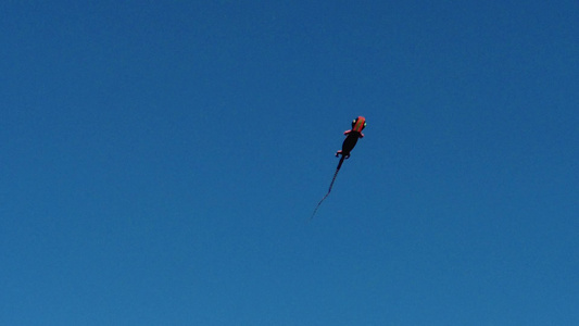 风筝在天空飘荡视频