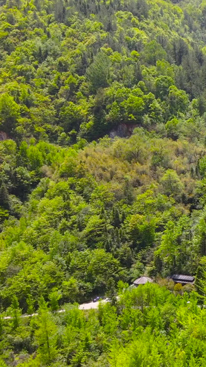 航拍5A景区神农架神农坛合集世界自然遗产117秒视频