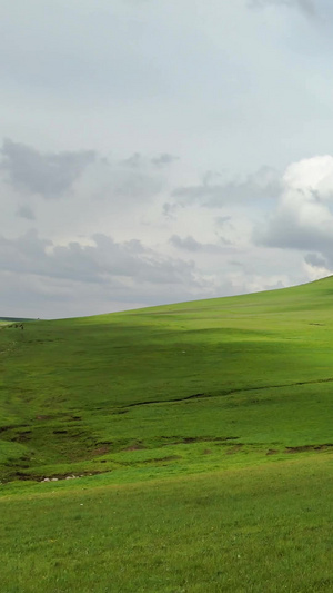 5A景区喀拉峻延绵起伏的大草原风光视频大自然47秒视频