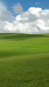 5A景区喀拉峻延绵起伏的大草原风光视频新疆旅游视频