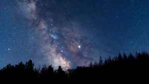 8K森林树林星空银河夜转日延时16秒视频
