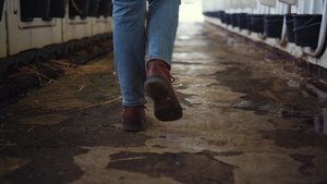 农夫鞋走牛棚设施特写23秒视频