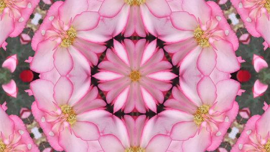 抽象的粉色纹理kaleidoscope背景视频