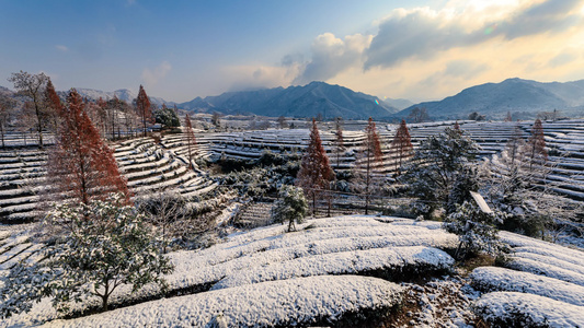 义乌大陈道人峰茶园雪景风光延时摄影视频