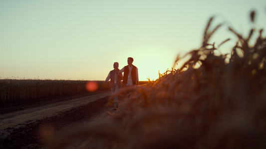 农学家一起在日落时分走在麦田里视频