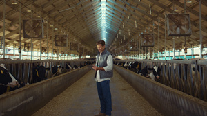 农场工程师工作牛棚拿着剪贴板24秒视频