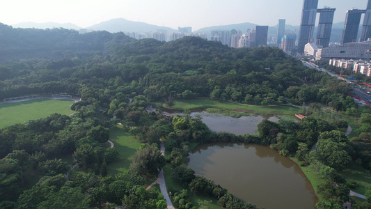 深圳莲花山公园航拍视频