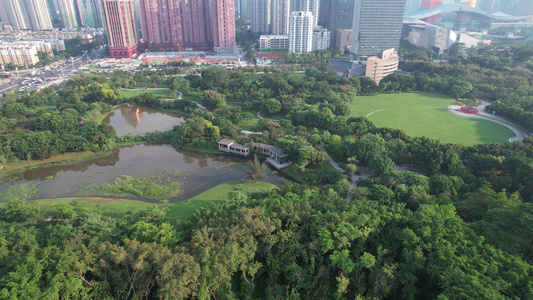 深圳莲花山公园航拍视频