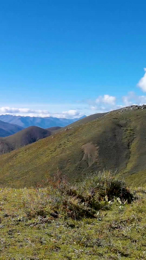 蓝天下的高山草甸和骑马登山的马队人群48秒视频