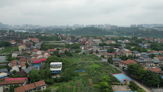 白沙洲河滩视频