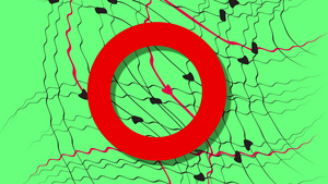 绿屏幕上的红线和黑线波动画13秒视频