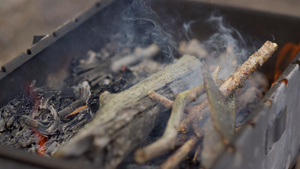 森林里的烧烤架小火苗冒烟29秒视频