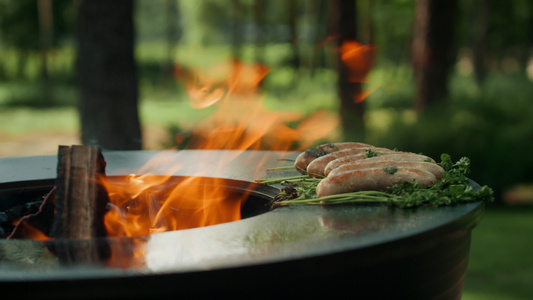 准备参加bbq晚会的肉香肠视频