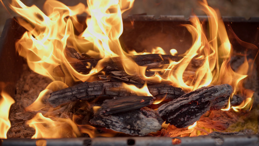 在森林的烧烤场上火焰燃烧特写视频