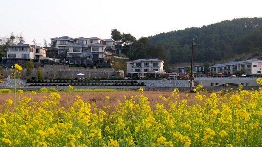 新农村建设视频