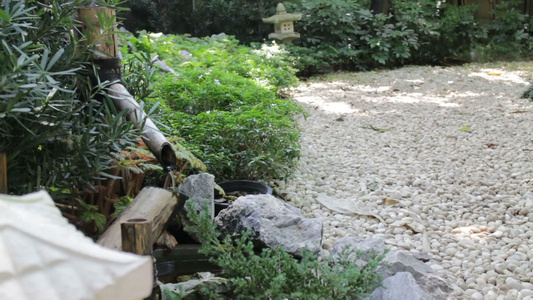 从一个木制的泉水中流出流入一个日本石器园视频