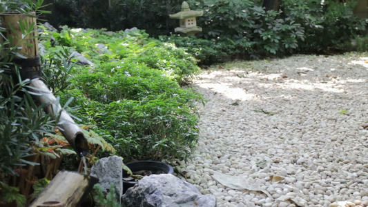 花园里的日本小喷泉视频