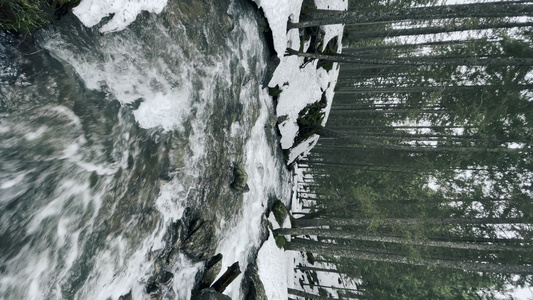 雪垂直方向冬季森林中的溪流水流和岩石快速视频