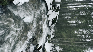 雪垂直方向冬季森林中的溪流水流和岩石快速11秒视频