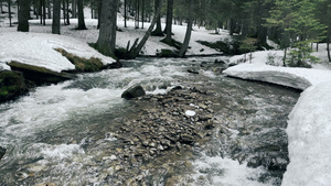 雪中的河在冬天的景色中11秒视频