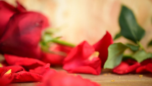 情人节当天木地板上的红玫瑰花7秒视频