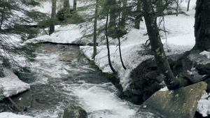 河流急流冬季森林中的雪景8秒视频