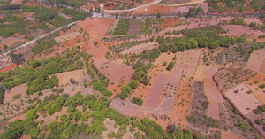 4k高原红土地植被退耕还林树木种植33秒视频