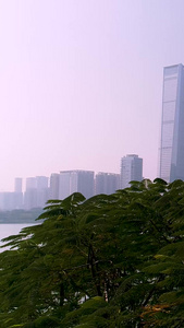 深圳城市风光航拍城市交通视频