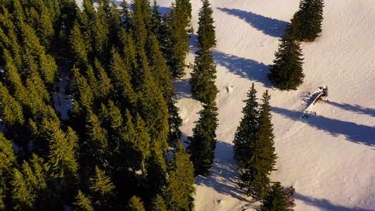 绿林和雪山罗马喀尔巴阡山脉的空中冬季景象视频