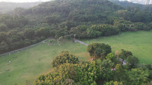 深圳莲花山公园航拍视频