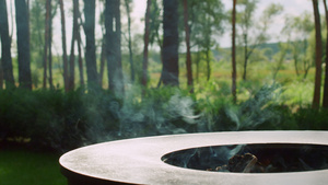 露天烤炉户外空烧室 对中木柴制成的烟雾进行侧视16秒视频