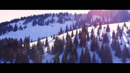 逆光航拍雪山森林风景[弱光]视频