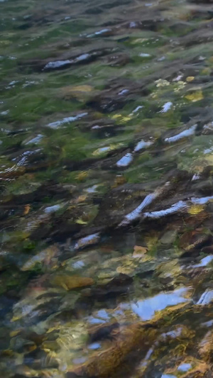 溪水溪流水潭水资源24秒视频