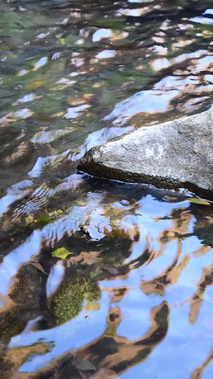 溪水溪流水潭生命之源24秒视频