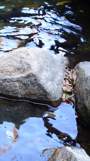 溪水溪流水潭生命之源24秒视频