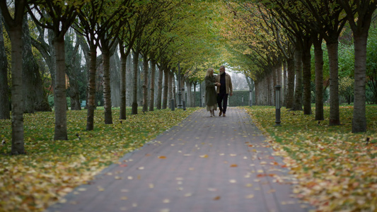 秋天在公园散步的一对快乐老年夫妇视频