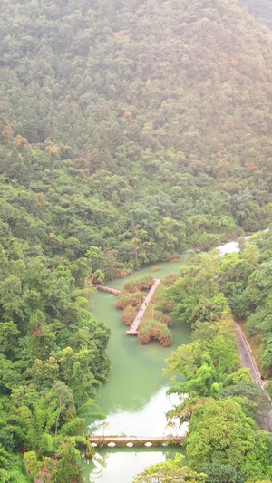 航拍贵州旅游圣地荔波小七孔景区自然风光大七孔30秒视频