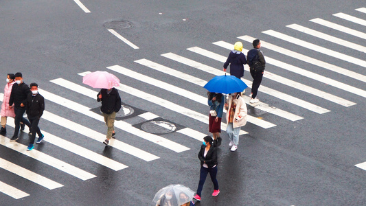 下雨天撑伞过斑马线的行人合集视频