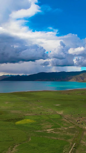 航拍西藏羊卓雍措羊湖山南市56秒视频