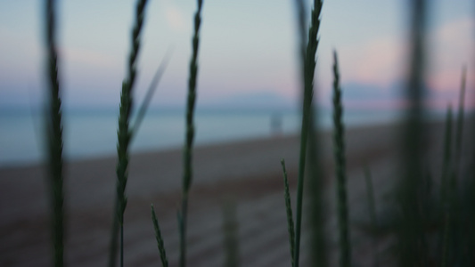 黄昏日落时分走海沙海滩海岸线的女人剪影视频