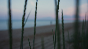 黄昏日落时分走海沙海滩海岸线的女人剪影21秒视频